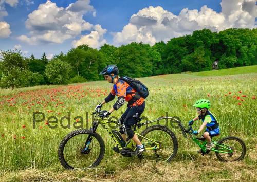 Tout Terrain Streamliner  technische daten 